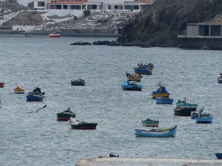 playa tortugas 002